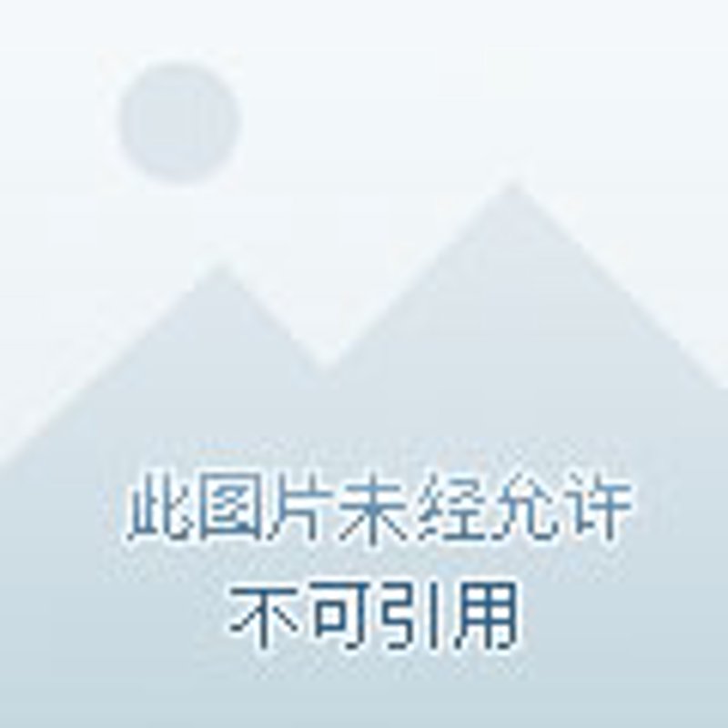 钟表配件挑选全攻略：从新手到行家的进化